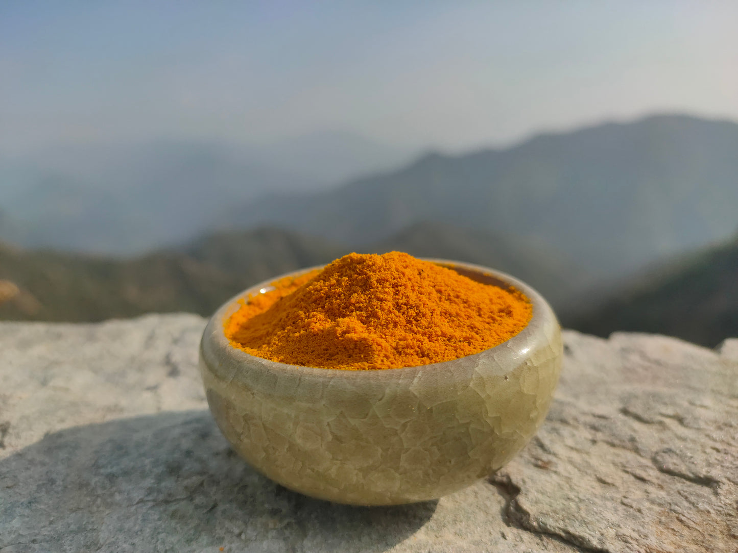 Native Himalayan Haldi (Turmeric)